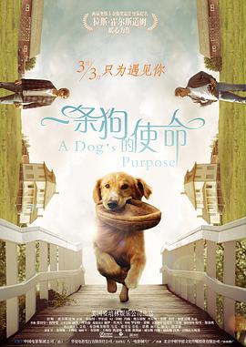 在当前电影市场相对低迷的背景下，依托成熟IP与熟悉风格，能够有效吸引观众重返影院，维持观影热情。
