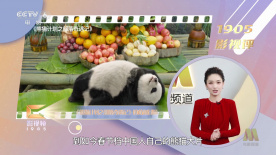 时间：2024.09.25 ： 作者：迪莫 ： 共7张 据报道，Lady Gaga将推出她主演的DC电影《小丑2：双重妄想》角色衍生专辑《Harlequin》，共收录13首曲目，全长41分33秒，将于9月27日发行。